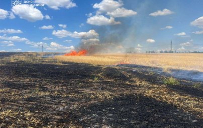 В Ильиновской громаде загорелись поля с пшеницей. (ФОТО)